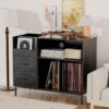Siyah Endüstriyel Metal Ayaklı Plak Dolabı 90×70 cm Çift Çekmeceli – 81625 Siyah Endüstriyel Metal Ayaklı Plak Dolabı 90×70 cm Çift Çekmeceli – 81625